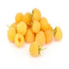 Anne Raspberry - 5 Golden Raspberry Plants - Everbearing -