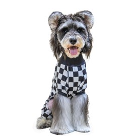 CuteBone GP01S - Ropa térmica de cuello alto para perro, pijama de cachemira, cuello alto, para cachorros, chamarra