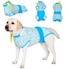 LovinPet Recovery Suit for Dogs: Dog Spay Recovery Suit Female
