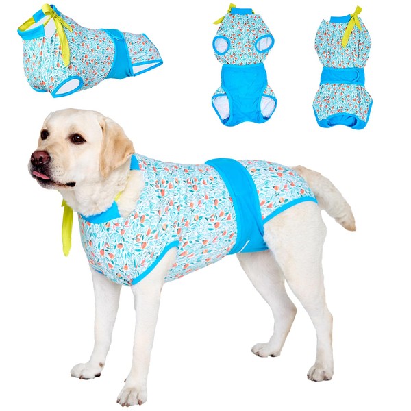 LovinPet Recovery Suit for Dogs: Dog Spay Recovery Suit Female