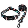 Ihoming Dog Collar and Leash Set for Daily Outdoor Walking