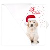 Labrador Love Holiday Card Pack / 25 Cards And Envelopes