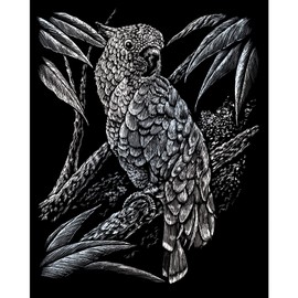 Royal & Langnickel Cockatoo Scratching Picture, Silver, Scratch Pictures for Children and Adults, with Scratch Pen and Template