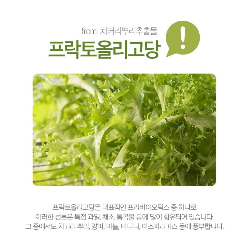 Charm goods Fructooligosaccharide Inulin Chicory extract powder Powder Prebiotics Lactobacillus