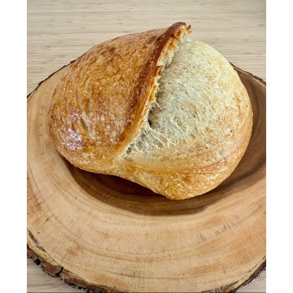 GREAT GRANDMA'S FREE SHIPPING Sourdough Bread Starter San Francisco -