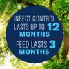 BioAdvanced 12 Month Tree Protect & Feed Concentrate II, 1
