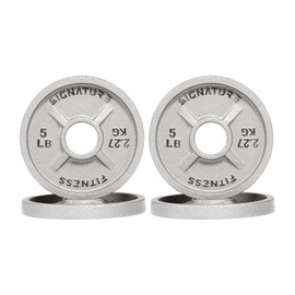 Deep Dish 2-Inch Olympic Cast Iron Weight Plates with E-Coating Grey