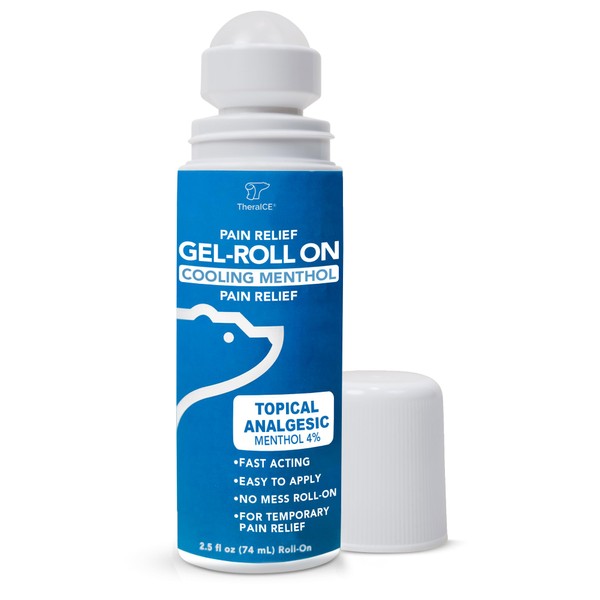 TheraICE Pain Relief Roll On, 2.5 FL OZ Roll-On ICY