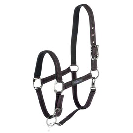 Horse Halter for Goleygo System, Black/Fuchsia, Shetty