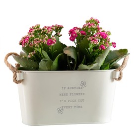 Dust and Things Engraved Flower Pot 'If Aunties Were Flowers I'd Pick You' - Unique Indoor Outdoor Herb Planter - Birthday Gifts for Auntie from Niece Nephew