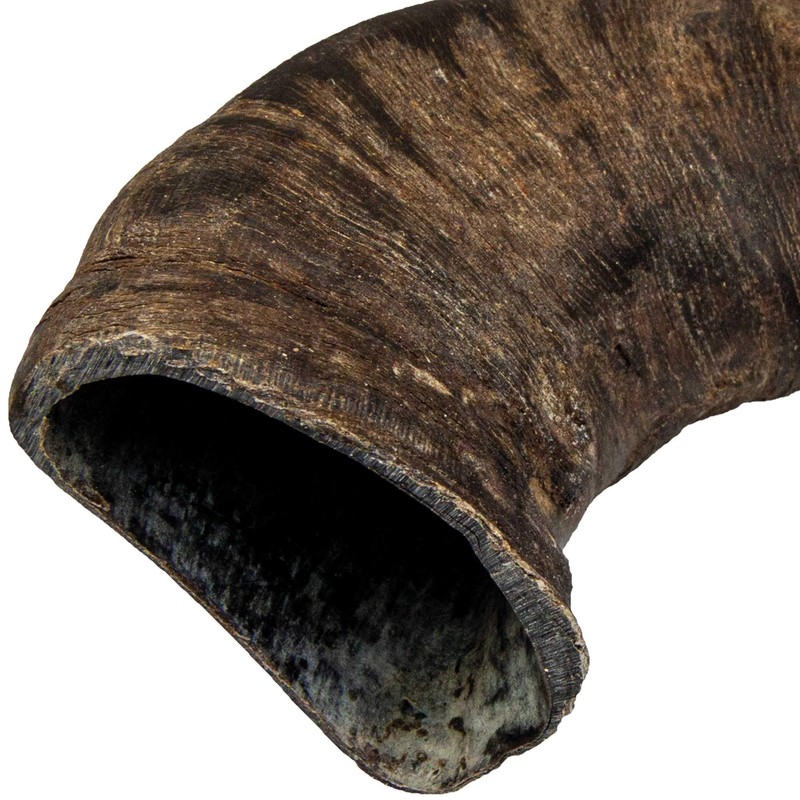 TX-27742 Buffalo Chewing Horn medium