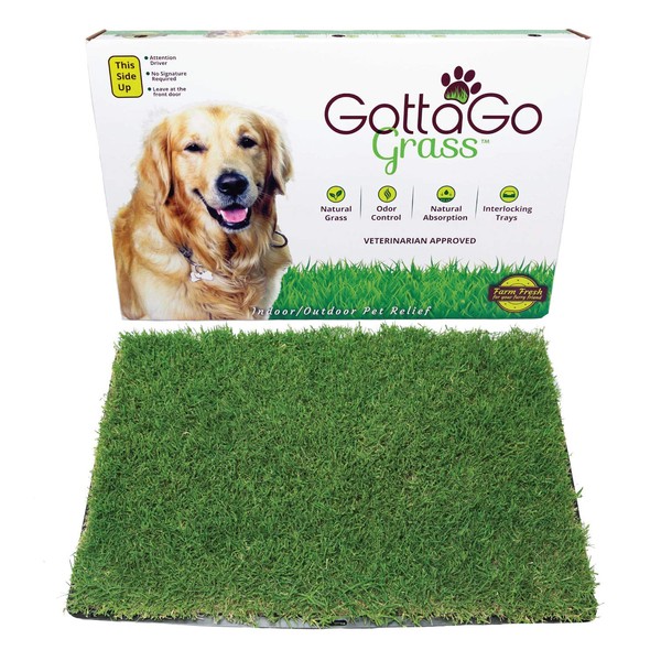 Gotta Go Grass - REAL Grass Pad - Ideal for animal potty breaks or just grass to lounge in - Interlocking Tray for size customization (2 Pack, Refill - no tray) **CANNOT ship Califormia or Arizona**