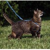 PetSafe Easy Walk Cat Harness & Bungee Lead Blue Cats