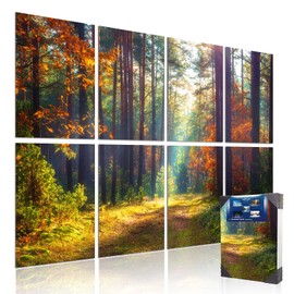 Mollywell Art Acoustic Panels, Sound Proofing, Wall Decoration, Suitable for Nature-Inspired Room Soundproofing & Vibrant Aesthetics (Forest Autumn), 48x32x0.4 Inch