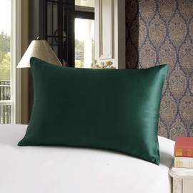 townssilk Both Side 100% 19mm Silk Pillowcase Queen Size Pillow Case Cover with Hidden Zipper Emerald