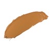 Gorgeous Cosmetics Base Perfect Liquid Foundation Oil Free Silicon Based