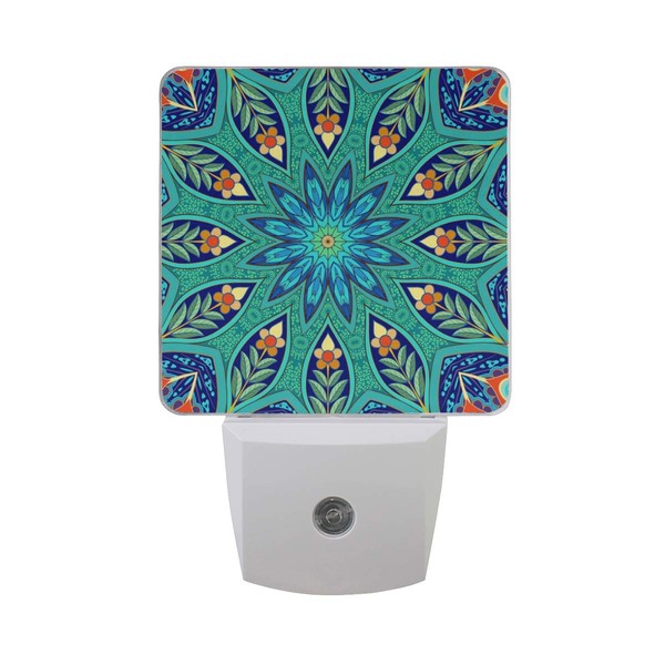Naanle Floral Paisley with Peacock Feathers LED Plug-in Night Light,