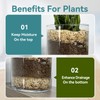 Rahato 1-2mm Coarse Sand for Plants, 6lbs Horticultural Sand for