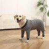 TQFlow Dog Recovery Suit, Pet Surgery Suits for Female Male,