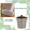 PEDOBALI 12 Pcs 8/10/12 Inch Large Size Clear Nursery Pots