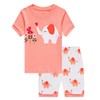 Popshion Baby Girl Clothes Kids Short Sets Pjs 100% Cotton