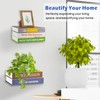 Moco Moment Floating Bookshelf Wall Mounted Bookshelf Invisible Bookshelves Metal