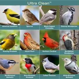 Ultra Clean Premium Black Oil Sunflower Wild Bird Seed (4 Pound)