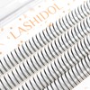 LASHIDOL Partial False Eyelashes, Matsueku, Self, Natural, Popular, DIY Eyelashes,