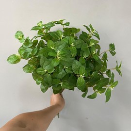 3Pcs Mint Leaves Artificial Greenery Stem 21.6In Green Fake Leaves Faux Greenery Branch for Vase Arrangement Kitchen Home Table Decor