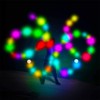 Anyingkai LED Poi Balls, LED Glow Poi Balls, 2 Pieces