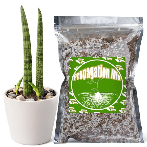 Doter Plant Propagation Potting Mix 4qt, Suitable for Rooting Plant