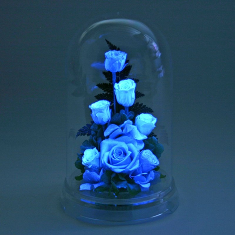 Art Four Seasons ○ Rose Eye "Glowing Rose" Firefly Pink