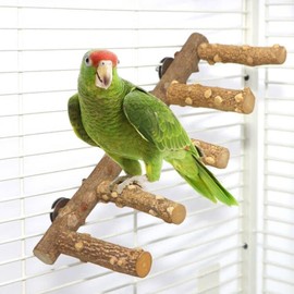 CiCixixi Bird Stand, Parrot Perch, Natural Wood Bird Perches Tiered, Toy Bird Cage Accessories for Budgies, Canaries, Cockatiels, Bird Accessories in Bird Cage