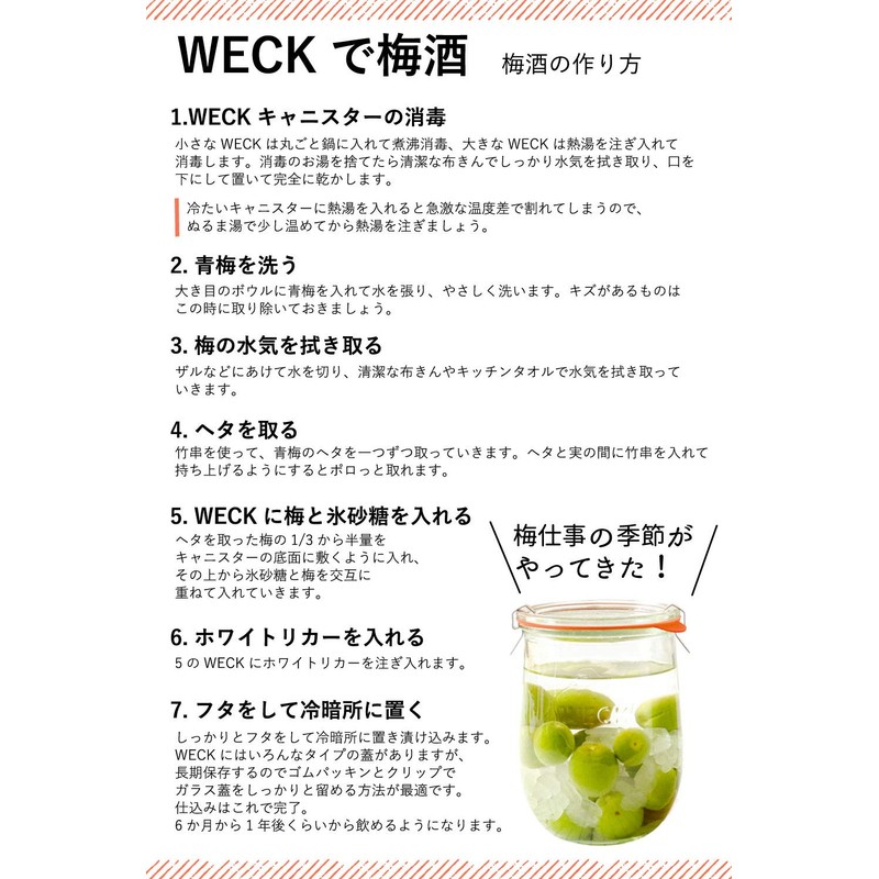 Marks International WECK WE-745 Tulip Shape Glass Storage Container, 3.3