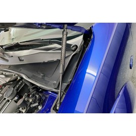 Redline Tuning (41-19131) QuickLIFT Carbon Fiber Sleeves for OEM Gas Struts Lifters (Hand Laid Carbon Fiber) Compatible with 2015+ Dodge Charger & Dodge Challenger