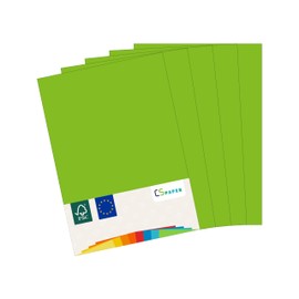 Made in the EU, 50 Sheets of Coloured Paper Green (May Green) A4 80 g/m² CS Paper, Printer Paper, Copy Paper, Universal Paper for Printing, Crafts & Folding, DIN A4 Paper for Home & Office Supplies