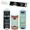 Modern Masters Metal Effects Paint and Patina Kit (16 Ounce