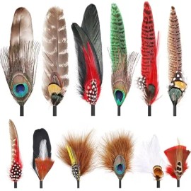12Pcs Hat Feathers Assorted Natural Feathers for Hats Colorful Real Feathers Pin DIY Craft Men Women Cowboy Hats FedoraColor: 12PC 01, Feather Size (L x W): 2-3 In/6-8In