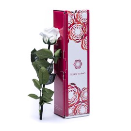Rosen-Te-Amo | Infinity Rose Weiß am Stiel mit Rosenduft |Echte Rose Geburtstagsgeschenk für Frauen, Ewige Rose in Geschenkbox| Konservierte Blume zum Weihnachten, Valentinstag, Mama, DekoGeschenk