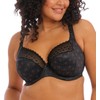 Elomi Women's Plus-size Kim Stretch Lace Underwire Plunge Bra Bra,