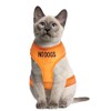 Dexil Colour Coded Cat Harness Warning Alert Vest Padded and