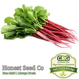 Honest Seed Co. 300+ Long Red Radish Seeds | Non-GMO Heirloom Vegetable Garden Seeds from USA