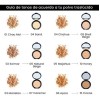 Polvo Bissu Maquillaje Compacto Todos Los Tonos Original