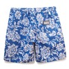 Men's Hawaiian Beach Shorts Swim Trunks Board Shorts Lightweight Casual
