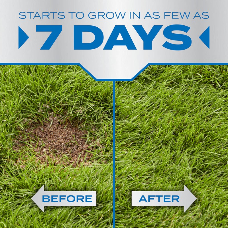 Scotts PatchMaster Lawn Repair Mix Sun + Shade Mix, Combination