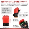 KAISIN Boxing Gloves Mitt Set with Storage Bag (Supervised by