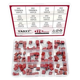 12Values*10Pcs=120Pcs 392 Square Fuse Kits 250V Slow Blow T0.5A T0.8A T1.25A T1A T2A T2.5A T3.15A T5A T6.3A T8A T10A T15A Power Supply Fuse