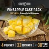 Ready Hour Freeze-Dried Pineapple Case Pack – Emergency Snack, Tropical
