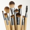 EcoTools Natural Beauty 10 Piece Brush Set - Vegan Tools