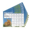 Lazy Snail 'Name the Bunny' Fundraising Cards - Pack of